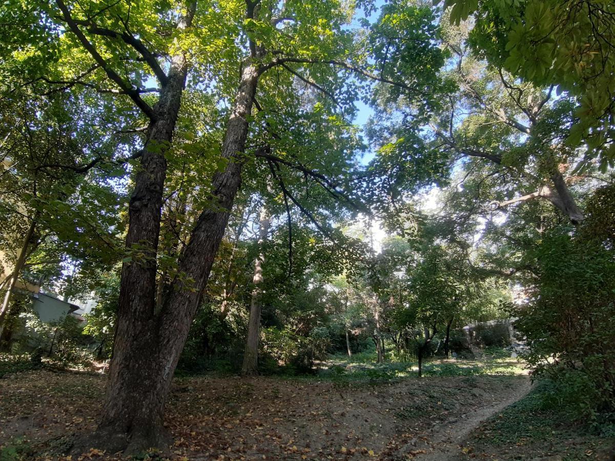 Apartman Hill *