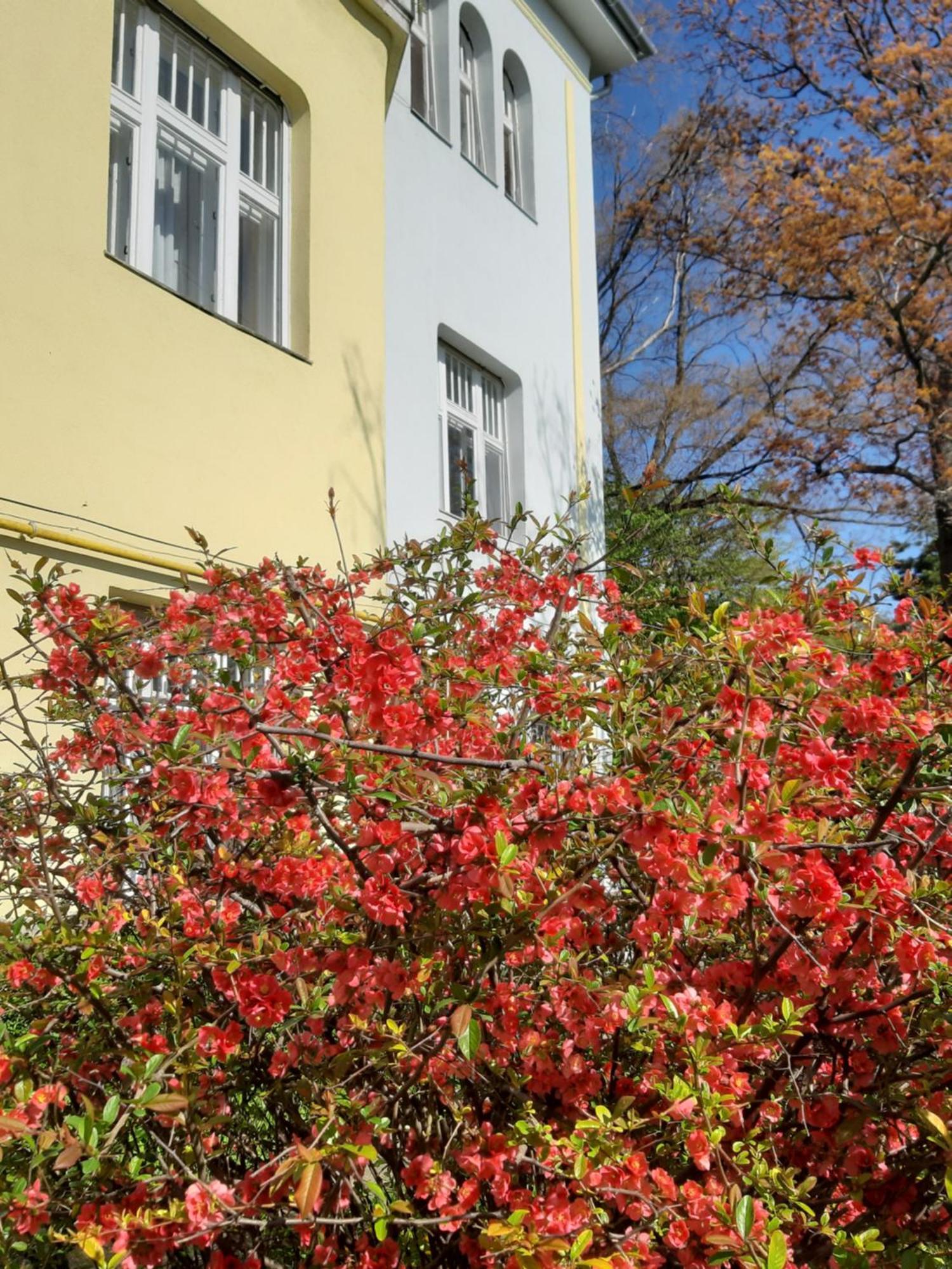 Apartman Hill Budapest